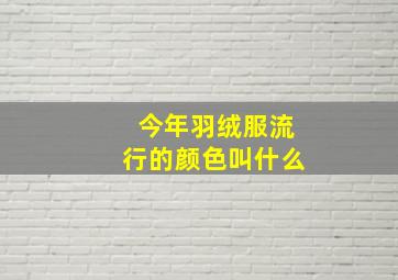 今年羽绒服流行的颜色叫什么