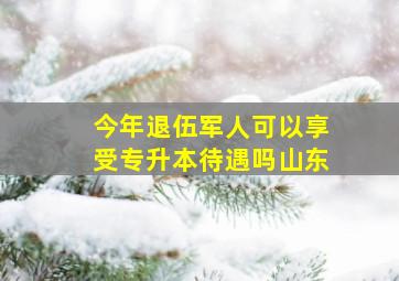 今年退伍军人可以享受专升本待遇吗山东