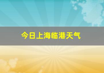 今日上海临港天气