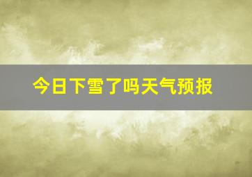 今日下雪了吗天气预报