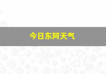 今日东阿天气