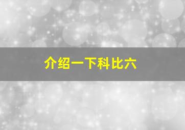 介绍一下科比六