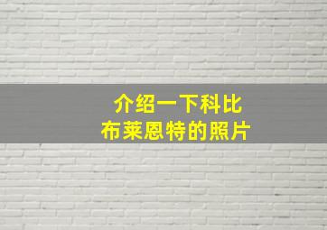 介绍一下科比布莱恩特的照片