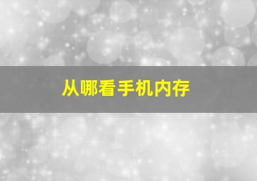 从哪看手机内存