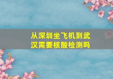 从深圳坐飞机到武汉需要核酸检测吗