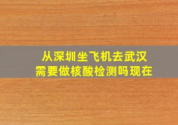 从深圳坐飞机去武汉需要做核酸检测吗现在