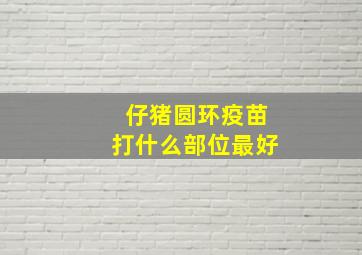 仔猪圆环疫苗打什么部位最好