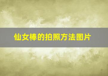 仙女棒的拍照方法图片