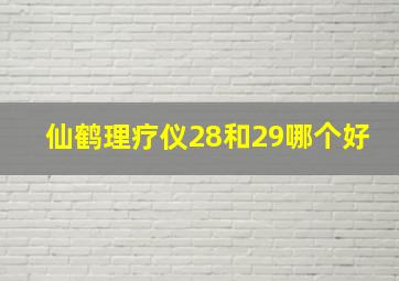 仙鹤理疗仪28和29哪个好