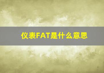 仪表FAT是什么意思