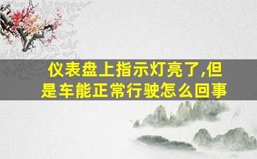 仪表盘上指示灯亮了,但是车能正常行驶怎么回事