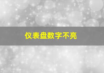 仪表盘数字不亮