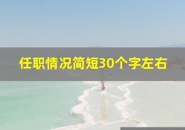 任职情况简短30个字左右