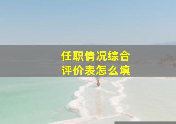 任职情况综合评价表怎么填