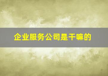 企业服务公司是干嘛的