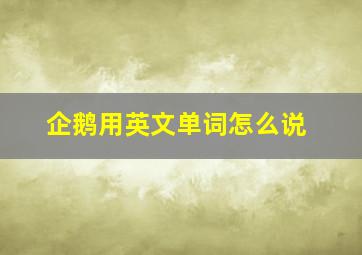 企鹅用英文单词怎么说