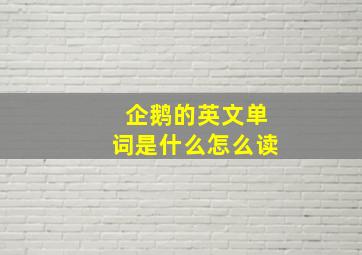 企鹅的英文单词是什么怎么读