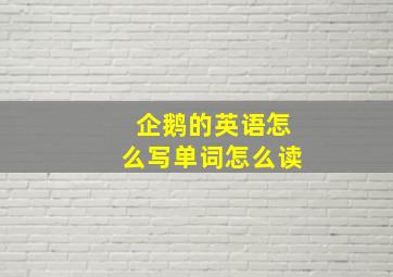 企鹅的英语怎么写单词怎么读