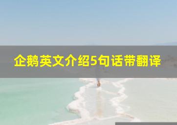 企鹅英文介绍5句话带翻译