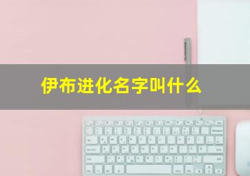 伊布进化名字叫什么