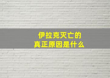 伊拉克灭亡的真正原因是什么