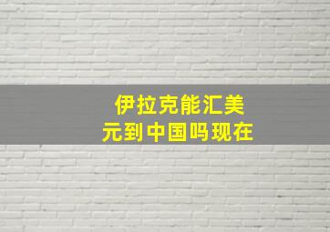 伊拉克能汇美元到中国吗现在