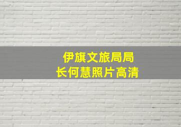 伊旗文旅局局长何慧照片高清