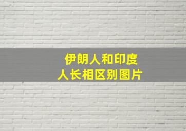 伊朗人和印度人长相区别图片