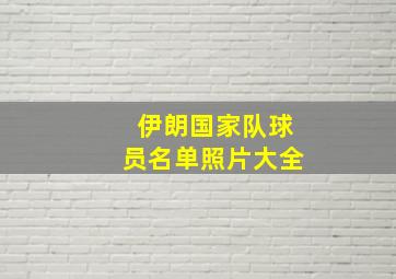 伊朗国家队球员名单照片大全