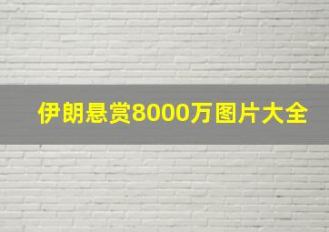 伊朗悬赏8000万图片大全