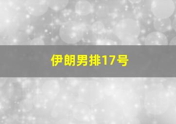 伊朗男排17号