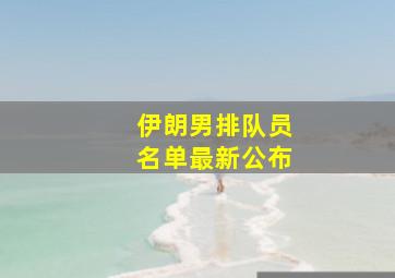 伊朗男排队员名单最新公布