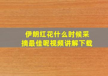 伊朗红花什么时候采摘最佳呢视频讲解下载