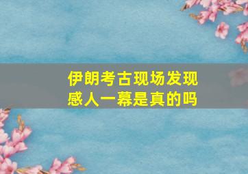 伊朗考古现场发现感人一幕是真的吗