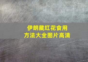 伊朗藏红花食用方法大全图片高清