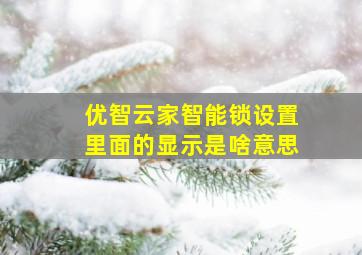 优智云家智能锁设置里面的显示是啥意思