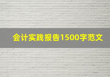 会计实践报告1500字范文