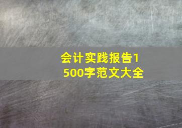 会计实践报告1500字范文大全