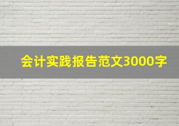 会计实践报告范文3000字