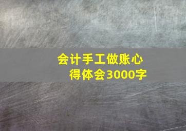 会计手工做账心得体会3000字