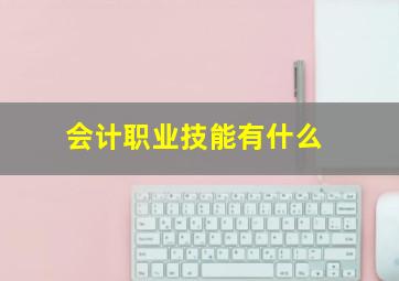 会计职业技能有什么