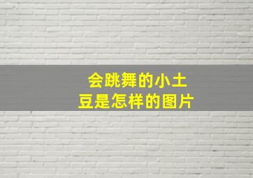 会跳舞的小土豆是怎样的图片