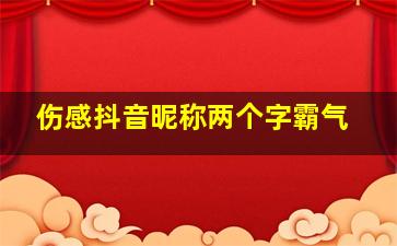 伤感抖音昵称两个字霸气