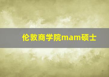 伦敦商学院mam硕士