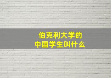 伯克利大学的中国学生叫什么