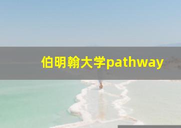 伯明翰大学pathway