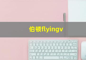 伯顿flyingv