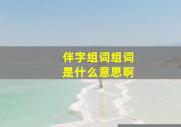 伴字组词组词是什么意思啊