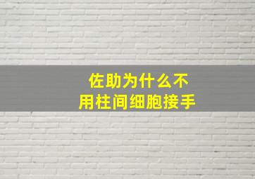 佐助为什么不用柱间细胞接手