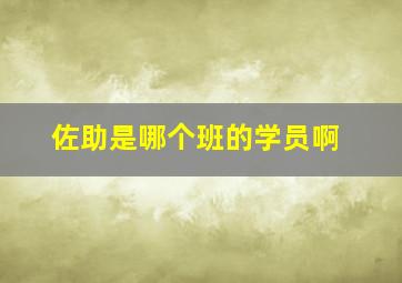 佐助是哪个班的学员啊